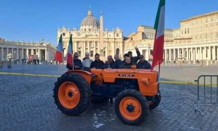 I trattori in Vaticano, portano anche la mucca Ercolina. Il Papa: “Saluto gli agricoltori presenti in piazza”